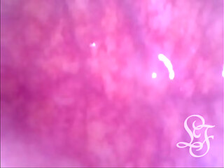 Let'_s explore my insides together!