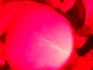 Natacha whore from Lyon double anal