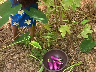 The Desire That Arose When I Went to the Forest to Bring Something to Cook.