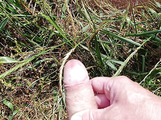 Jerking off in the field