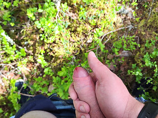Horny in forest