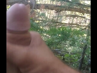 Masturbation forest