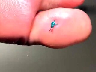 Pinkfoxx - Giantess Smashes With Flip Flops & Feet