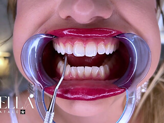 Dental Tools Mouth Exam All Teeth Displayed