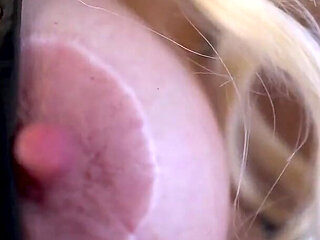 Collared for Christmas