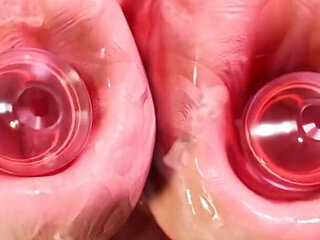 Rivals Project: the Following