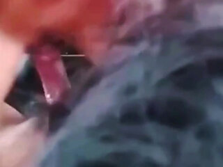 A Beautiful Teacher When You Have the Opportunity