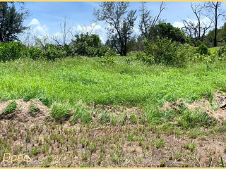 Wifeydoes Have the Best Amateur Tits for Flashing!