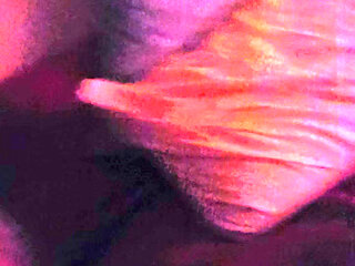 degrading my sissy husband for laughs