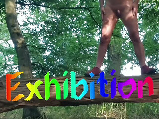 Nude on the Internet