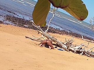 Ladysilva was filmed hiding tanning her hot ass on the beach