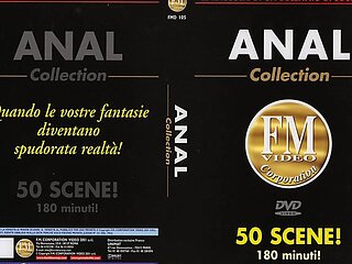 Anal Collection