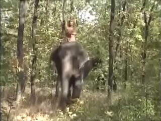 Selen la reine des &eacute_l&eacute_phant 1997