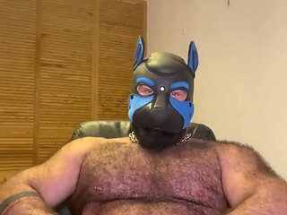Muscle Gay Bear JOI with Mask, Big Cock, Cock Ring & Cumshot