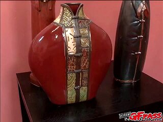 Bird's asian trailer by Premium GFs