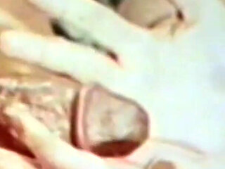 Vanessa Is the Fucking Pig