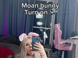 Follow the White Rabbit