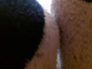 Dawnskye1962 - update #236 - 1376 Mason smell my dirty socks - Mar 28, 2026