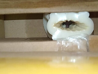 Cum inside homemade silicone pussy 2