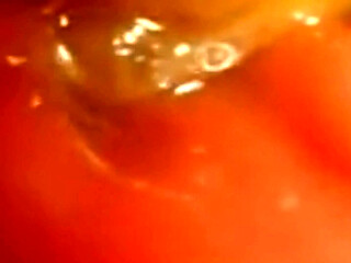 Inside Me the Journey of the Orange