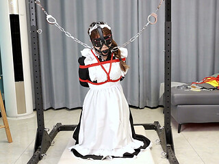 The Maid's Various Restraints