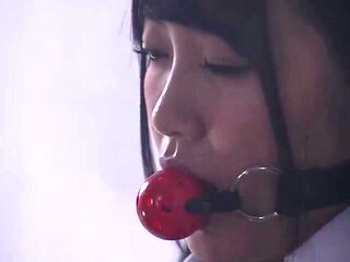 158-wgeedhy-ouhsgy-rouhy-udr