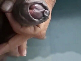 Nude Hairy Dick for you freely...