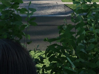 Fate Won't Separate Us by Raising Phallus - Jealous Guy Searching on Girlfriend, Brunette Having Haee Ass Creampied 19