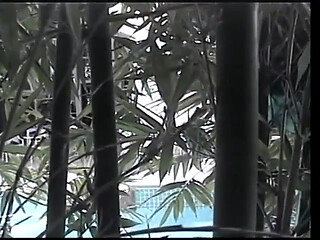 Young asian chick takes huge cock in her mouth