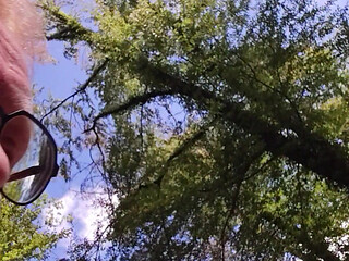 walking naked in the forest