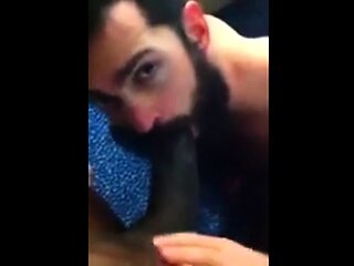 Black Cock Sucked by Amateur