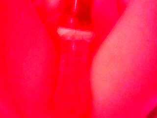Warm My Milk Day 1579