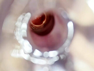 Show you what I am inside