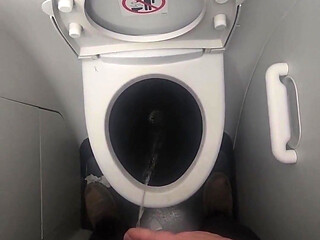 Airplane Bathroom Jerk and Cum.