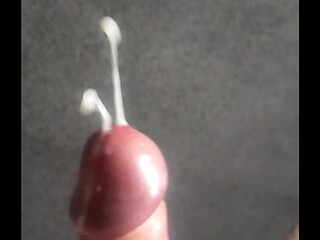 Sperm