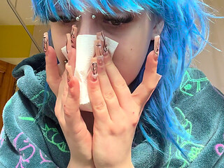 Hayfever Honks