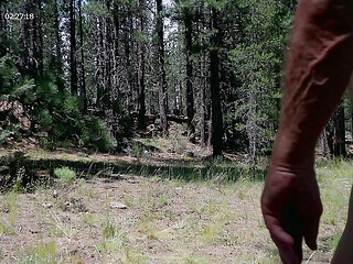 Simscristian05 - update #880 - NAKED WALK AND CUM IN THE FOREST - SHEER - Oct 22, 2026