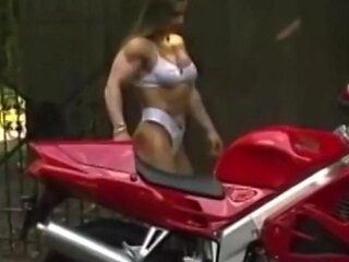 FBB 8