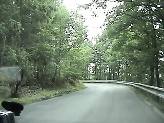 European Teen Picks Up and Gets Screwed On The Side Of The Road