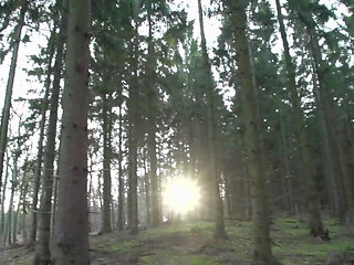 German Sex Stars Wild DP Orgy Scenes