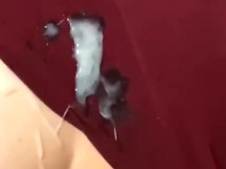 Best Friend Fucks 18-year-old Freshman Doggy-style in the Dorm