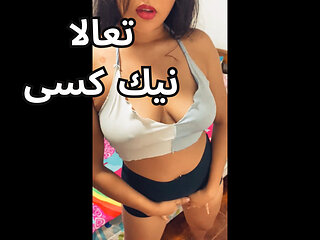 arab egyptian sharmota masrya nik kosi gamed