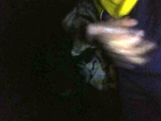 Super Now I Feel What Pleasure Is