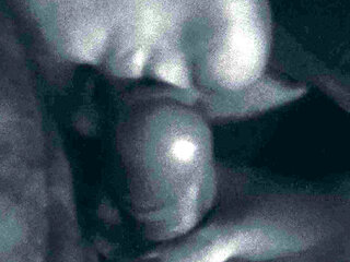 sucking dick