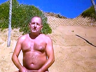 Osos en la Playa