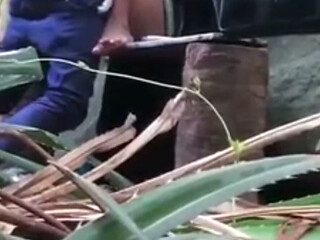Indian Couples Are Sex in Jungle