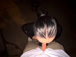 Public Blowjob and Fuck with Brunette in LEATHER JACKET -