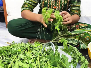 Desi Bhabhi Riya Chowdhury Romantic Hardcore Fuck with Kaleonjoybd - Blowjob, Cowgirl, Doggy Style in HD