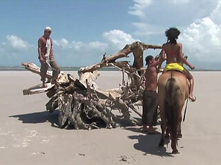 Babes in Brazil -  (The movie)