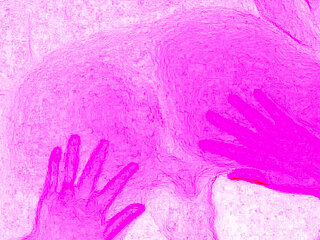 A sexual encounter is about joy, so intense and wild that it's difficult to describe in words.